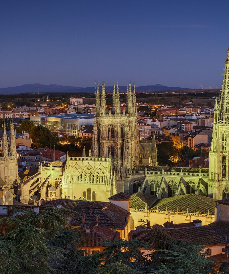 Catedral de Burgos de noche